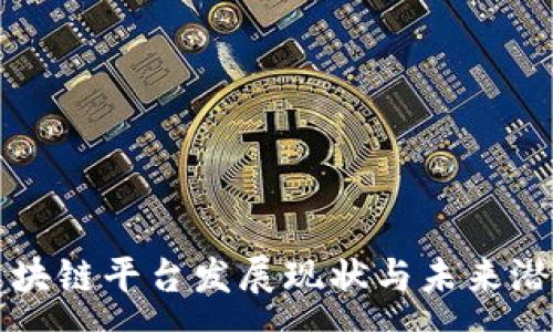 :  
宁都区块链平台发展现状与未来潜力分析