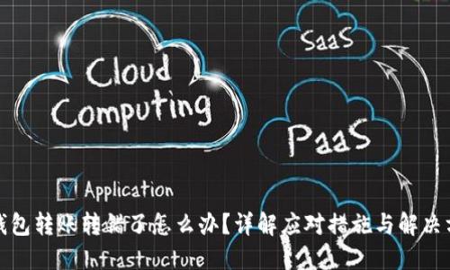 TP钱包转账转错了怎么办？详解应对措施与解决方案