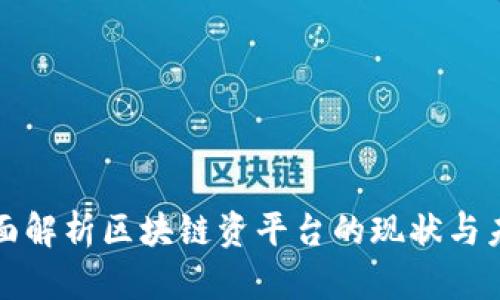 全面解析区块链资平台的现状与未来