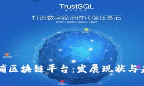 探索黄埔区块链平台：发展现状与未来潜力