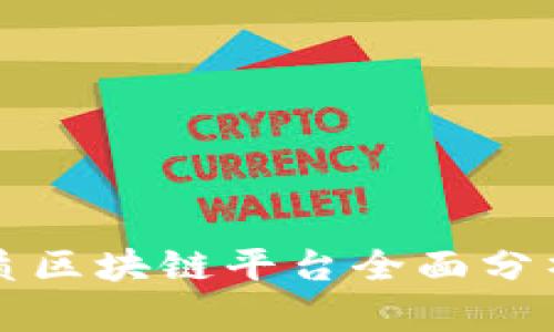 国外优质区块链平台全面分析与比较