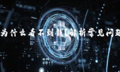     TP钱包为什么看不到钱