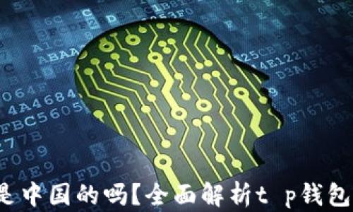 
t p钱包和tp是中国的吗？全面解析t p钱包的来源与发展