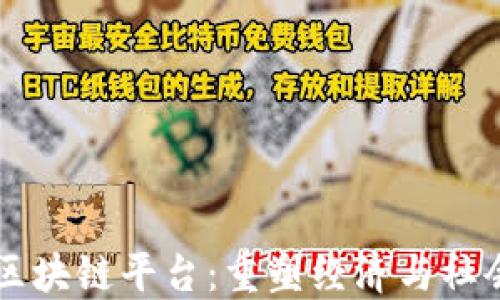 
新时代区块链平台：重塑经济与社会的未来